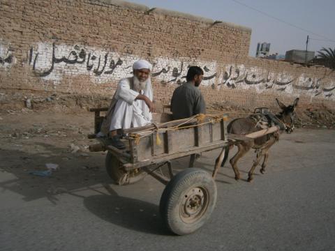 14 Donkey with people