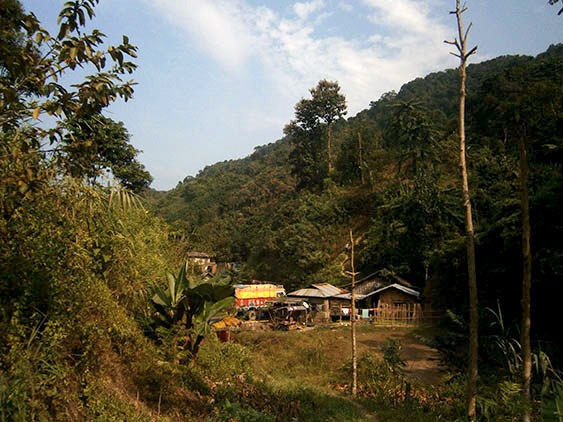 OLYMPUS DIGITAL CAMERA