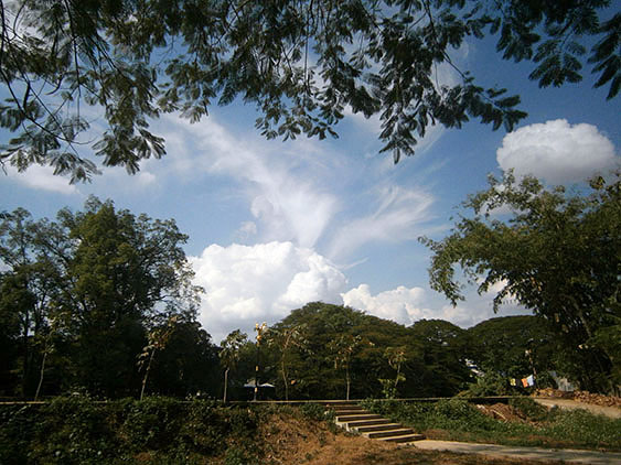 OLYMPUS DIGITAL CAMERA