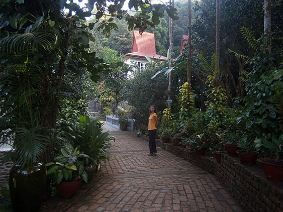 OLYMPUS DIGITAL CAMERA