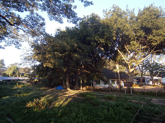 OLYMPUS DIGITAL CAMERA